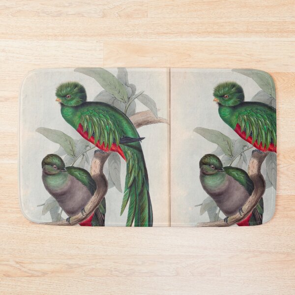 Item preview, A monograph of the Trogonidae or family of trogons John Gould 1838 V1 to V3 0014 Trogon Resplendens Resplendent Trogon designed and sold by WetdryvacRB01.