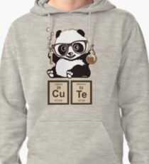 Chemistry panda discovered cute Pullover Hoodie
