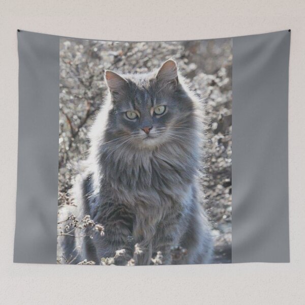 Item preview, The gray cat designed and sold by Karine Dupras.