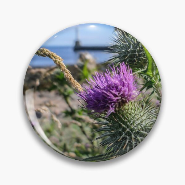 Item preview, Scottish Thistle designed and sold by DaveEssonPhotos.