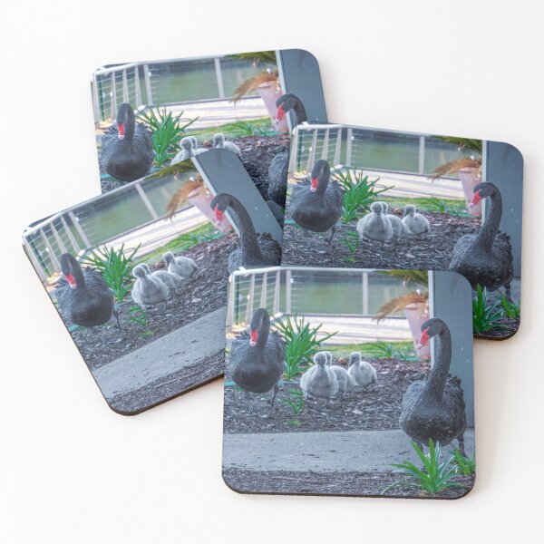 Item preview, Black Swans on the Move - Lake Weeroona, Bendigo designed and sold by Steven Jodoin.