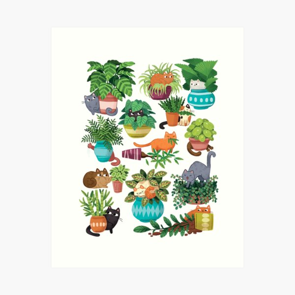 Cats And Plants  Art Print