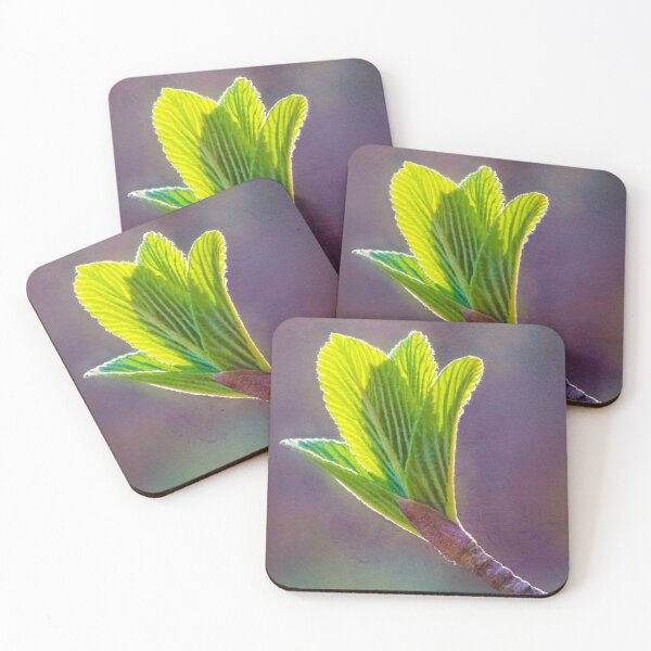 Item preview, Spring at Last - Baby Siebold Viburnum Leaves designed and sold by Photo Art By Anita.