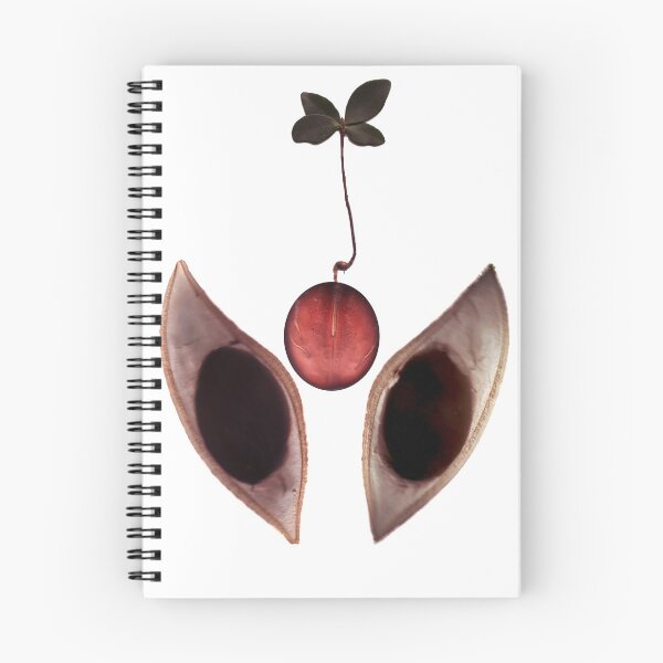 Item preview, Germination designed and sold by petermarting.