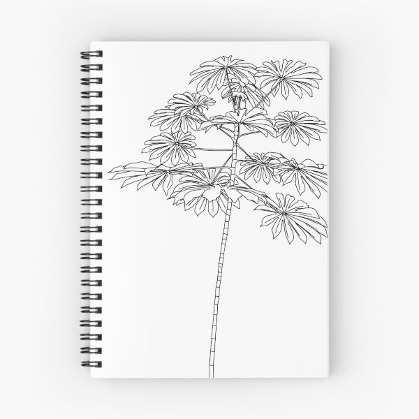 Aperçu de l'œuvre Arbre de Cecropia simple créée et vendue par petermarting.