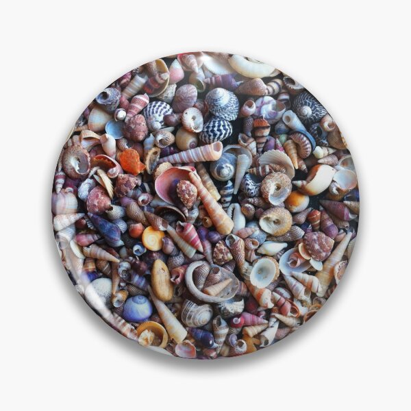Item preview, Tiny shells designed and sold by Roz McQuillan Fine Art & Photography.