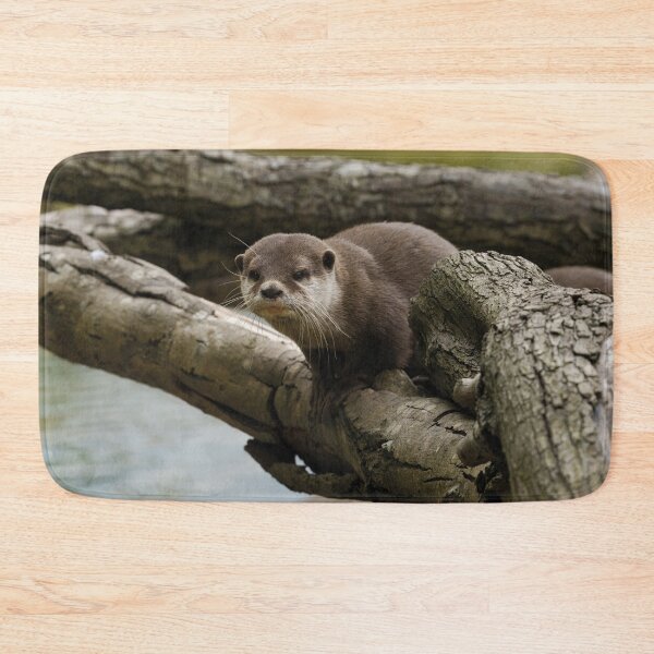 Item preview, Otter On A Tree designed and sold by rawshutterbug.