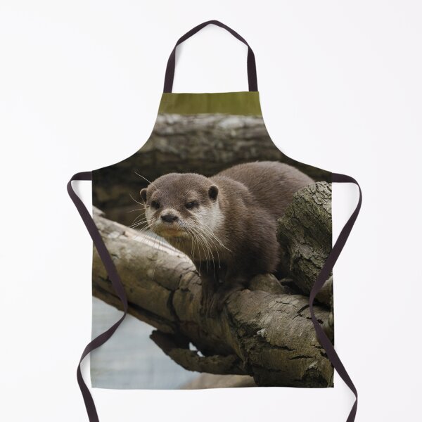 Item preview, Otter On A Tree designed and sold by rawshutterbug.