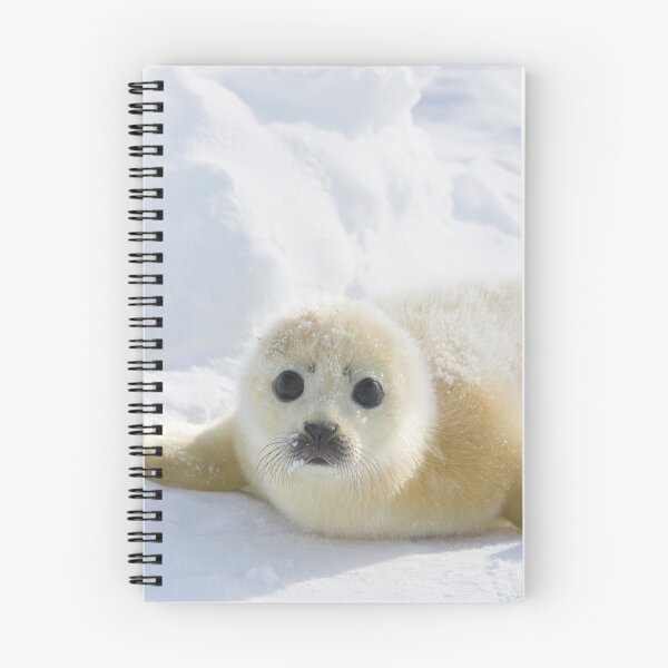 Item preview, Cute Baby Seal designed and sold by KnightSteel.