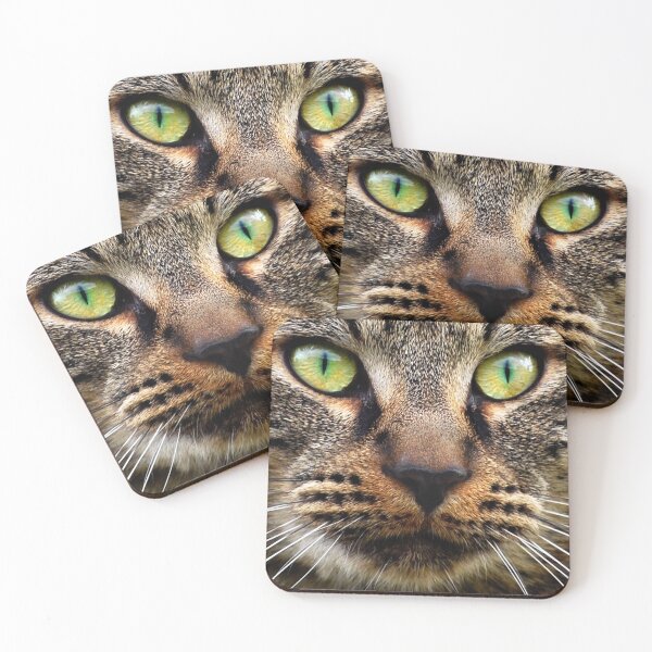 Item preview, Stray Cat Stare designed and sold by KarDanCreations.