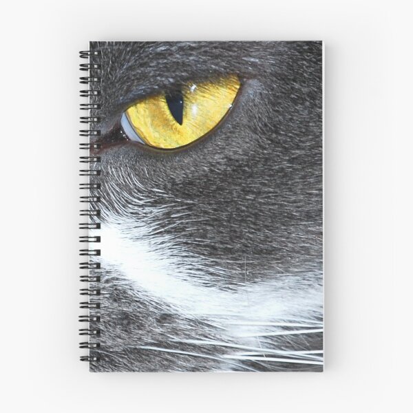 Item preview, Concentration designed and sold by KarDanCreations.