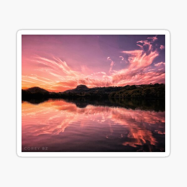 Magenta Reflections Sticker