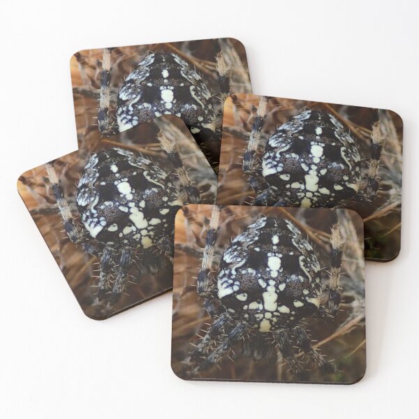 Item preview, Araneus diadematus garden cross spider designed and sold by Rachelidoless.