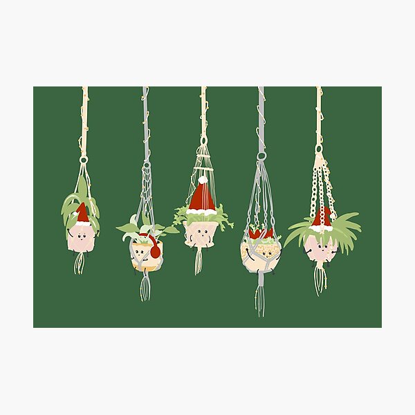 Item preview, Christmas Houseplants  designed and sold by Tilly Scribbles.