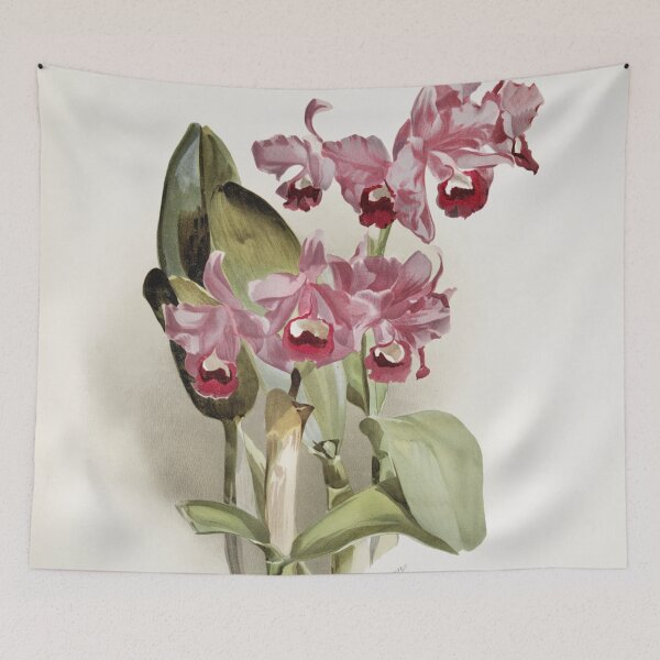 Item preview, Reichenbachia: Orchids Illustrated and Described designed and sold by EsotericBotanic.