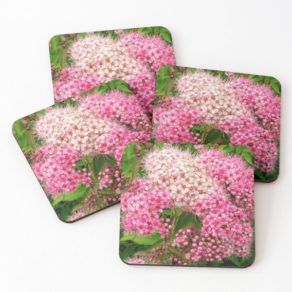 Item preview, A Shrub as Soft as Valvet designed and sold by shahramroj.