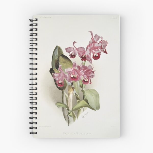 Item preview, Reichenbachia: Orchids Illustrated and Described designed and sold by EsotericBotanic.