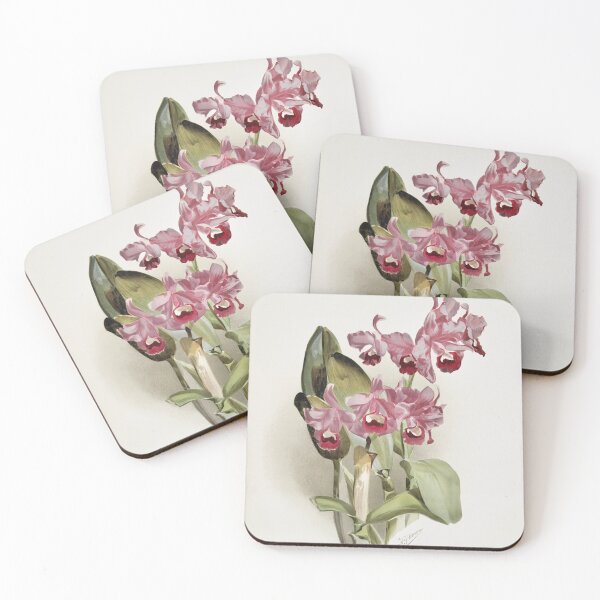 Item preview, Reichenbachia: Orchids Illustrated and Described designed and sold by EsotericBotanic.