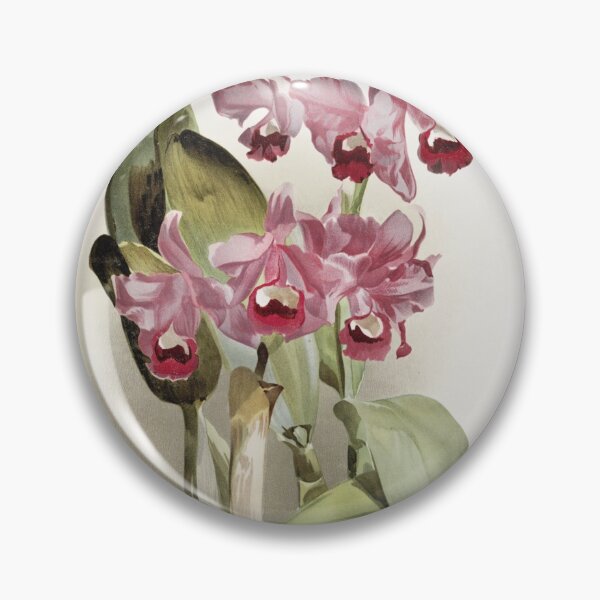 Item preview, Reichenbachia: Orchids Illustrated and Described designed and sold by EsotericBotanic.