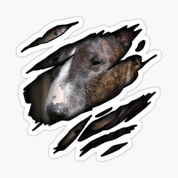 Item preview, Bullterrier in me , Dogshirt, Pedigree Dog designed and sold by RosaMapes.