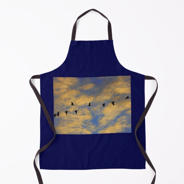 Item preview, FLIGHT designed and sold by Vaengi.