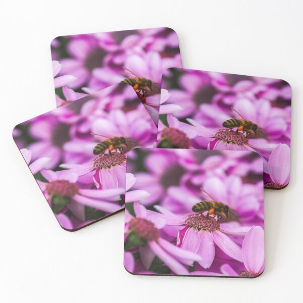 Item preview, Buzzing Bee on Pink Flowers at the Bendigo Conservatory designed and sold by Steven Jodoin.
