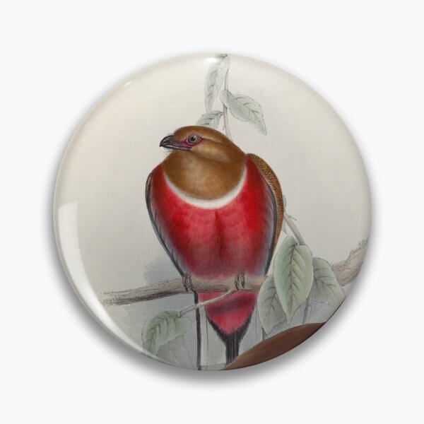 Item preview, A monograph of the Trogonidae or family of trogons John Gould 1838 V1 to V3 0016 Trogon Erythrocephalus Red Headed Trogon designed and sold by WetdryvacRB01.