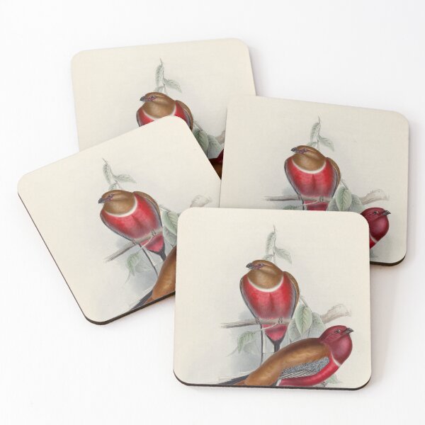 Item preview, A monograph of the Trogonidae or family of trogons John Gould 1838 V1 to V3 0016 Trogon Erythrocephalus Red Headed Trogon designed and sold by WetdryvacRB01.