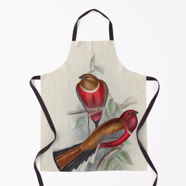 Item preview, A monograph of the Trogonidae or family of trogons John Gould 1838 V1 to V3 0016 Trogon Erythrocephalus Red Headed Trogon designed and sold by WetdryvacRB01.