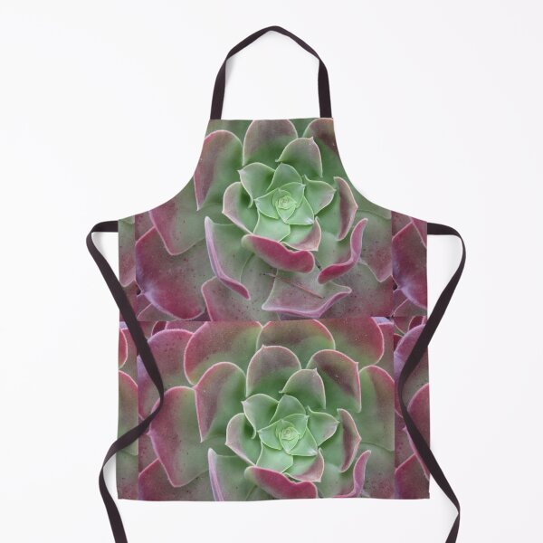 Aperçu de l'œuvre Succulente colorée créée et vendue par Honey Myrtle Studio.