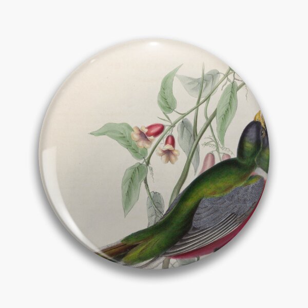 Item preview, A monograph of the Trogonidae or family of trogons John Gould 1838 V1 to V3 0018 Trogon Ambiguus Doubtful Trogon designed and sold by WetdryvacRB01.