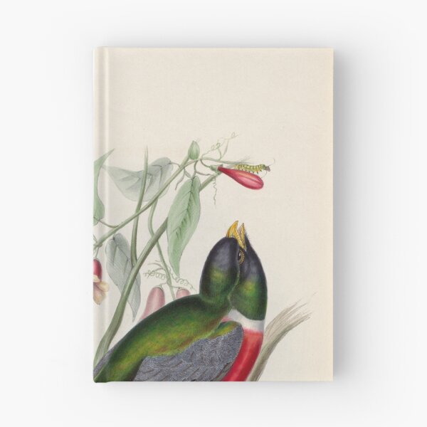 Item preview, A monograph of the Trogonidae or family of trogons John Gould 1838 V1 to V3 0018 Trogon Ambiguus Doubtful Trogon designed and sold by WetdryvacRB01.