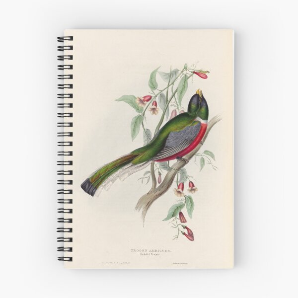 Item preview, A monograph of the Trogonidae or family of trogons John Gould 1838 V1 to V3 0018 Trogon Ambiguus Doubtful Trogon designed and sold by WetdryvacRB01.