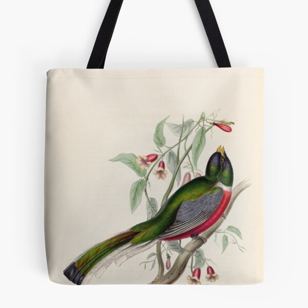 Item preview, A monograph of the Trogonidae or family of trogons John Gould 1838 V1 to V3 0018 Trogon Ambiguus Doubtful Trogon designed and sold by WetdryvacRB01.