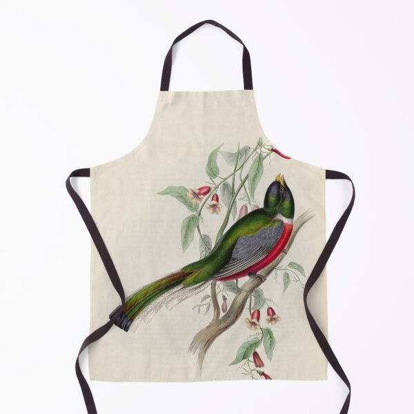 Item preview, A monograph of the Trogonidae or family of trogons John Gould 1838 V1 to V3 0018 Trogon Ambiguus Doubtful Trogon designed and sold by WetdryvacRB01.