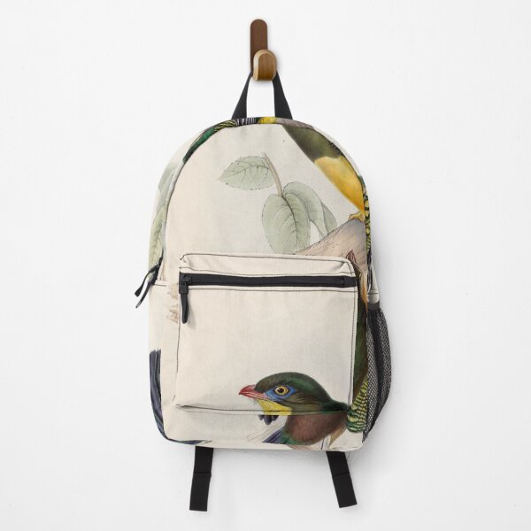 Item preview, A monograph of the Trogonidae or family of trogons John Gould 1838 V1 to V3 0020 Trogon Reinwardtii Reinwardt's Trogon designed and sold by WetdryvacRB01.