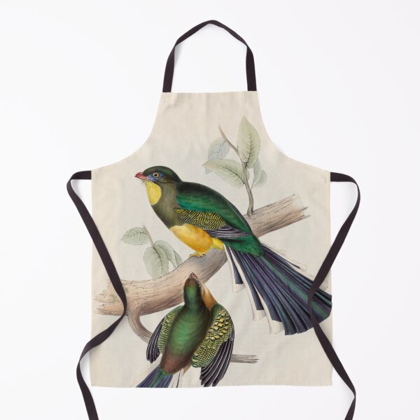 Item preview, A monograph of the Trogonidae or family of trogons John Gould 1838 V1 to V3 0020 Trogon Reinwardtii Reinwardt's Trogon designed and sold by WetdryvacRB01.