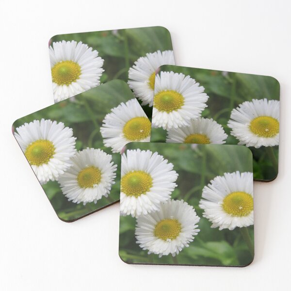 Item preview, A Daisy a Day designed and sold by Honey Myrtle Studio.