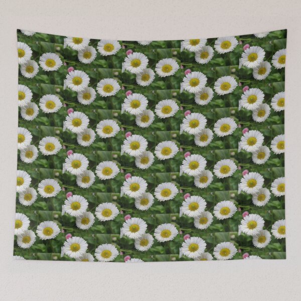 Aperçu de l'œuvre Une marguerite par jour créée et vendue par Honey Myrtle Studio.
