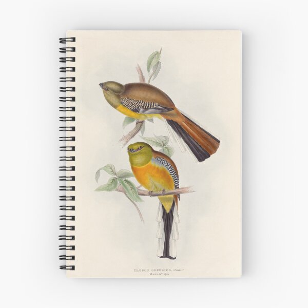 Item preview, A monograph of the Trogonidae or family of trogons John Gould 1838 V1 to V3 0022 Trogon Oreskios Mountain Trogon designed and sold by WetdryvacRB01.