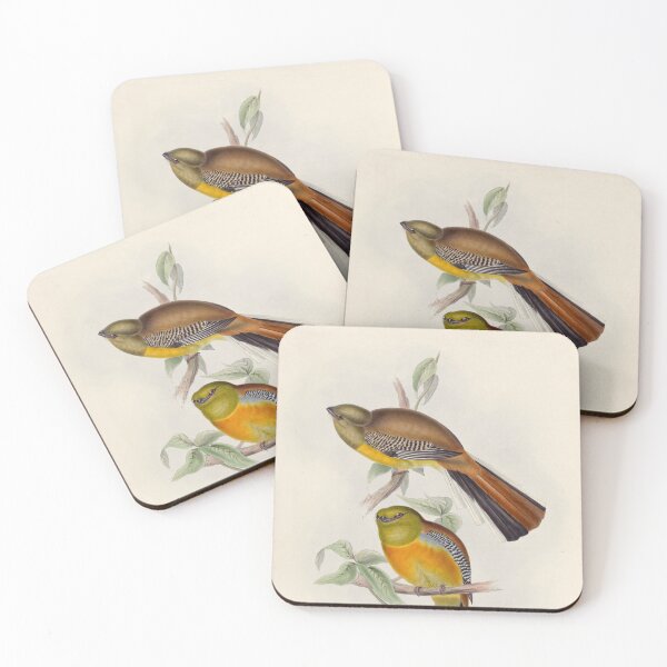 Item preview, A monograph of the Trogonidae or family of trogons John Gould 1838 V1 to V3 0022 Trogon Oreskios Mountain Trogon designed and sold by WetdryvacRB01.