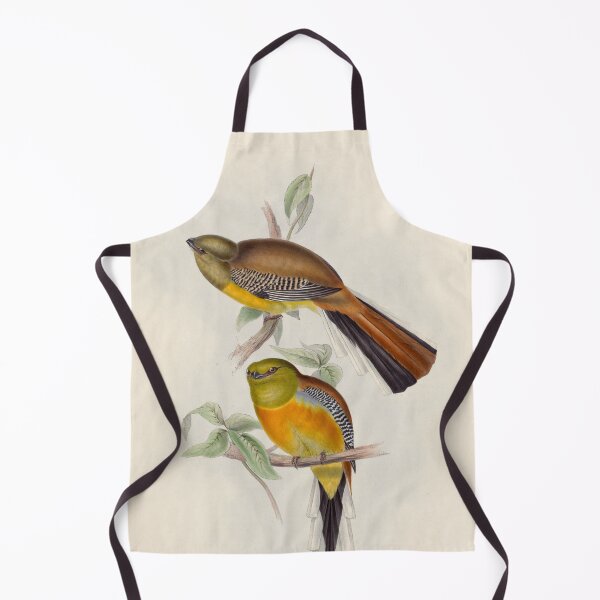 Item preview, A monograph of the Trogonidae or family of trogons John Gould 1838 V1 to V3 0022 Trogon Oreskios Mountain Trogon designed and sold by WetdryvacRB01.