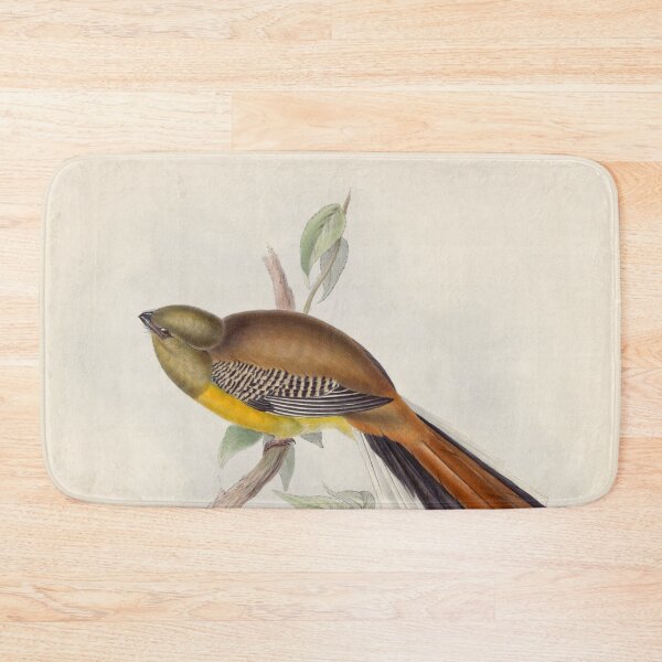 Item preview, A monograph of the Trogonidae or family of trogons John Gould 1838 V1 to V3 0022 Trogon Oreskios Mountain Trogon designed and sold by WetdryvacRB01.