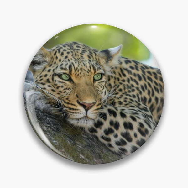 Item preview, Leopard designed and sold by Oopsie-Daisy.