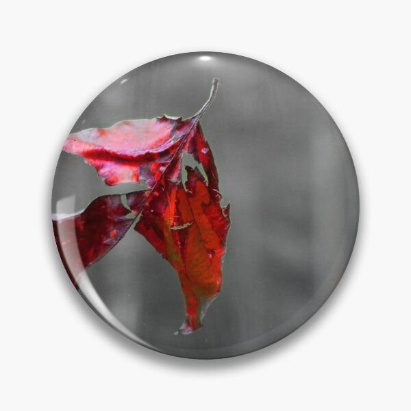 Artikelvorschau, an autumn leaf falls from the tree entworfen und verkauft von ToniStauche.