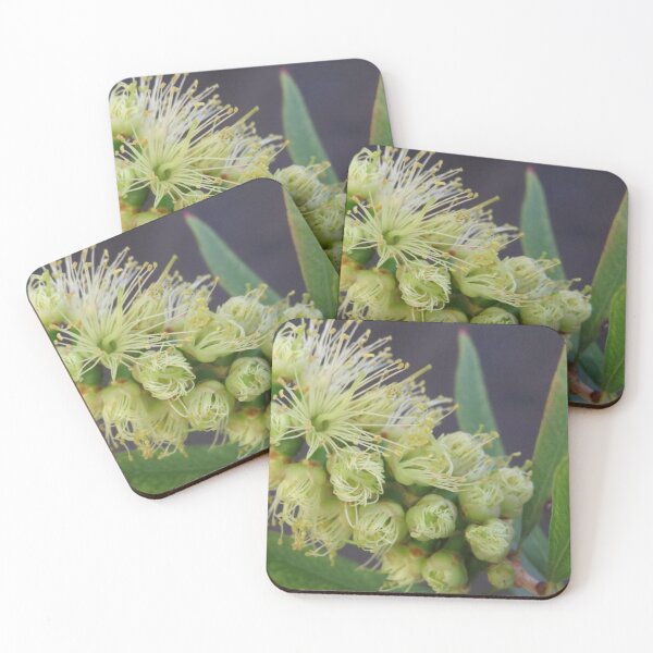 Item preview, New Blooms Bottlebrush designed and sold by Honey Myrtle Studio.