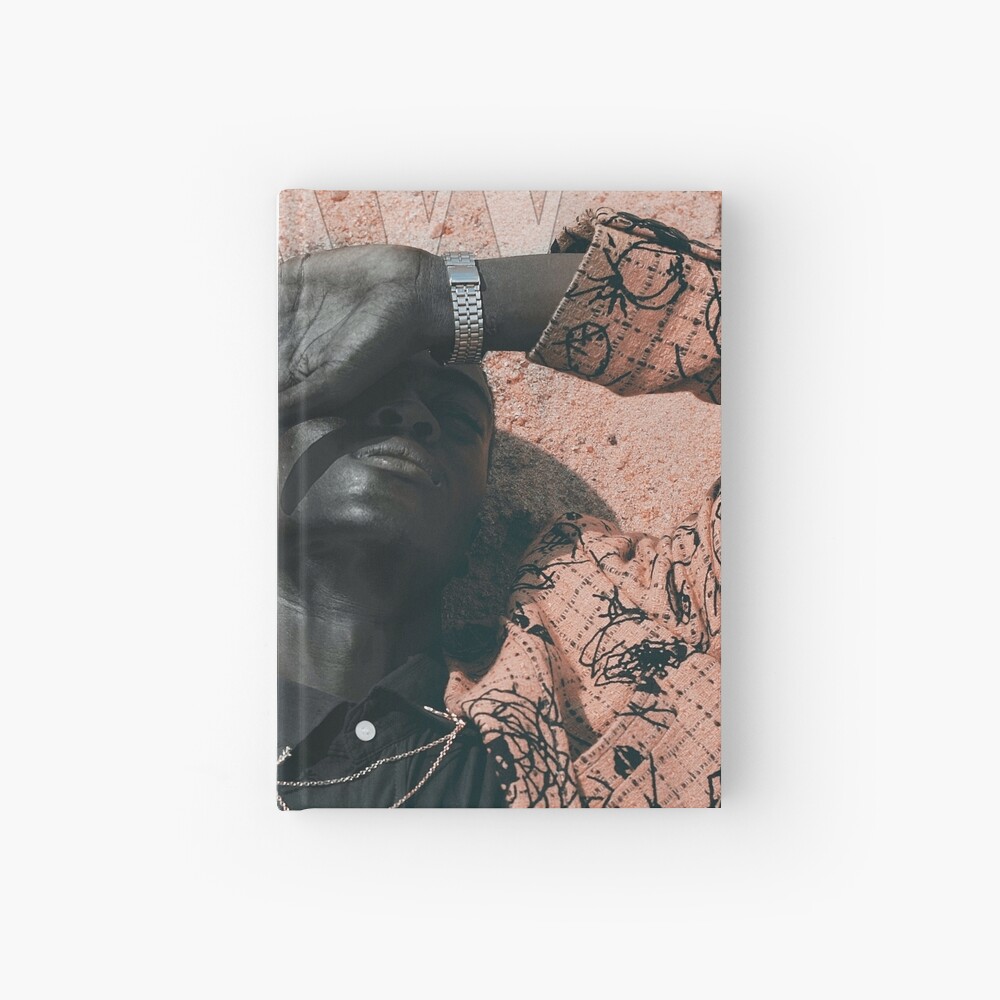 Blend In or Stand Out Hardcover Journal