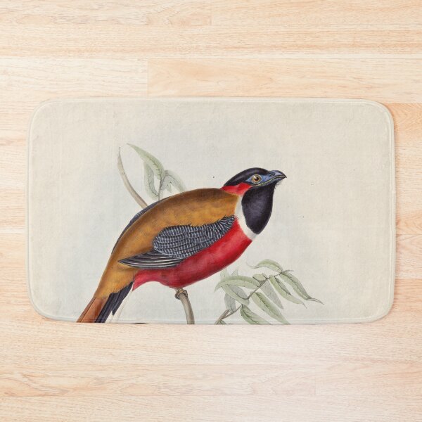 Item preview, A monograph of the Trogonidae or family of trogons John Gould 1838 V1 to V3 0024 Trogon Temminckii Temminck's Trogon designed and sold by WetdryvacRB01.