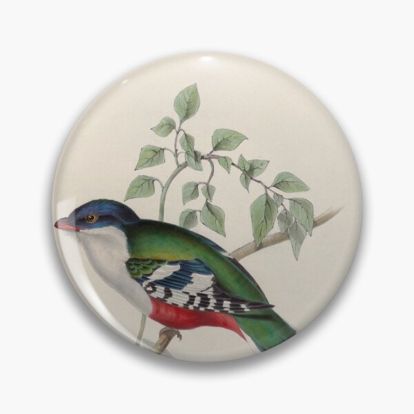 Item preview, A monograph of the Trogonidae or family of trogons John Gould 1838 V1 to V3 0032 Trogon Temnurus Cuba Trogon designed and sold by WetdryvacRB01.