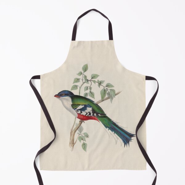 Item preview, A monograph of the Trogonidae or family of trogons John Gould 1838 V1 to V3 0032 Trogon Temnurus Cuba Trogon designed and sold by WetdryvacRB01.